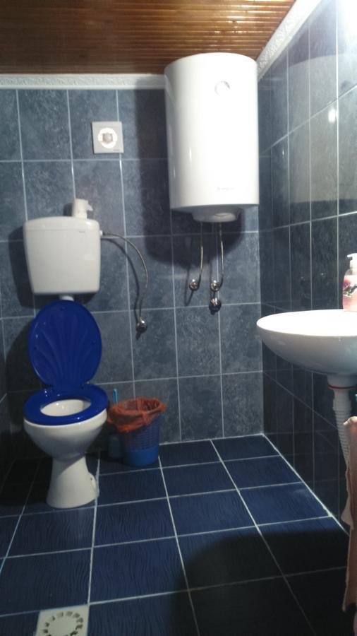 Apartmani Emil Podgoriţa Exterior foto